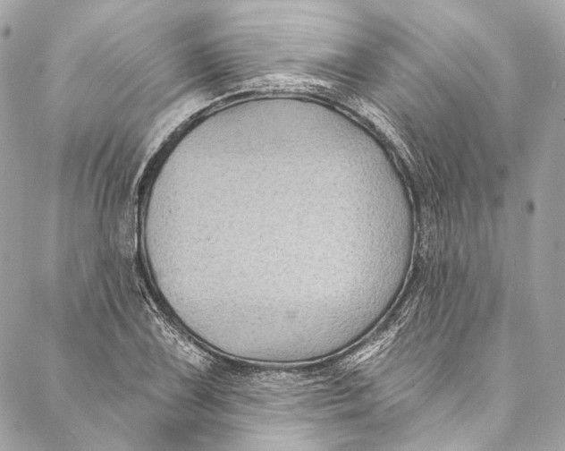 X0000086951075200705071437