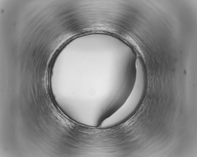 X0000086951076200705071437