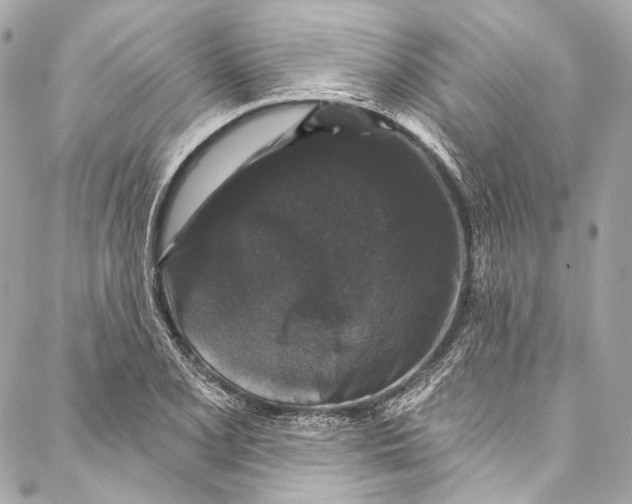 X0000086951077200705071437