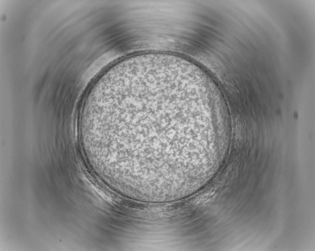 X0000086951078200705071437