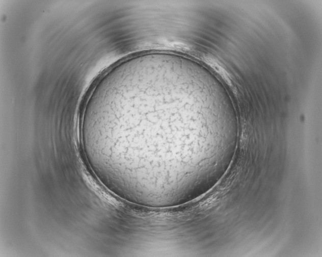 X0000086951080200705071437