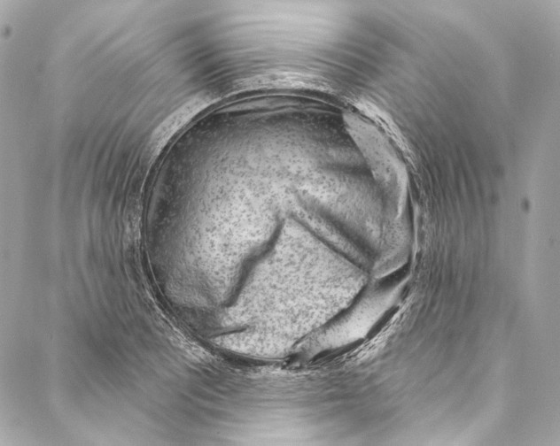 X0000086951081200705071437