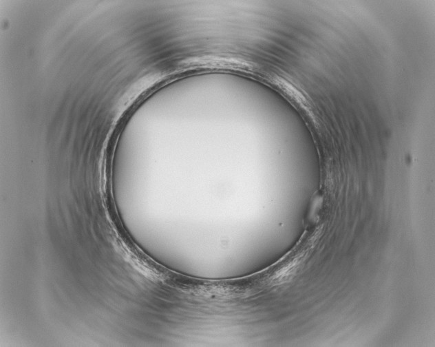 X0000086951082200705071437