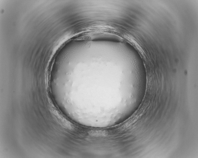 X0000086951083200705071437