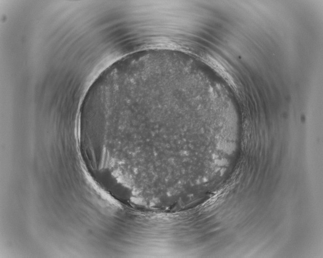 X0000086951084200705071437