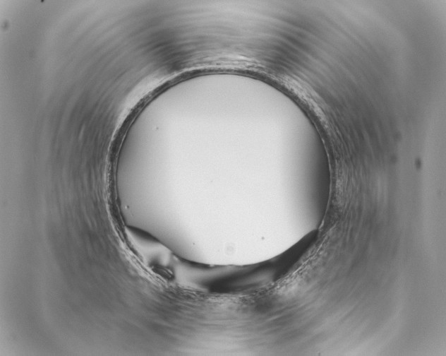 X0000086951085200705071437