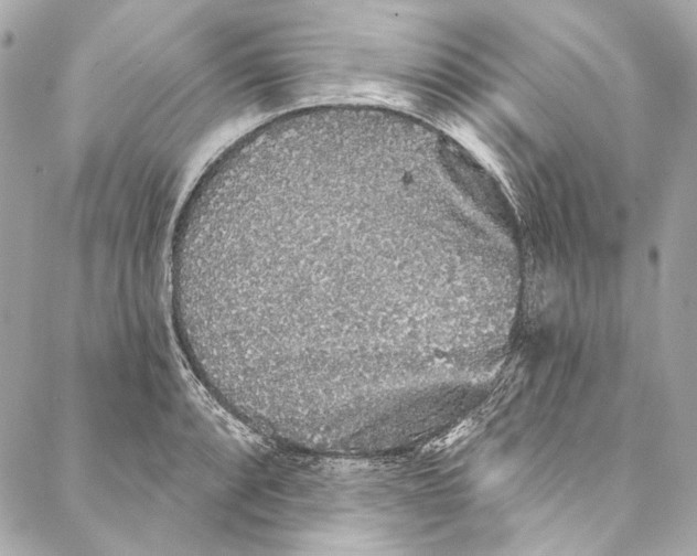 X0000086951088200705071437