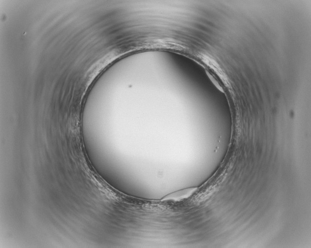 X0000086951089200705071437