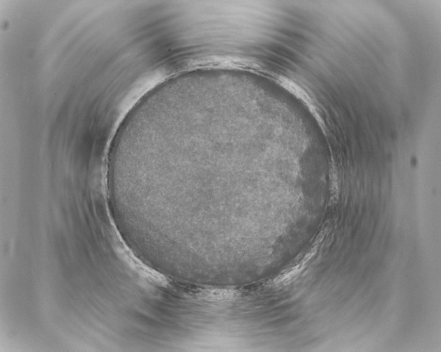 X0000086951090200705071437