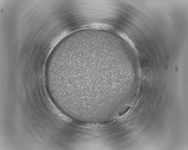 X0000086951091200705071437