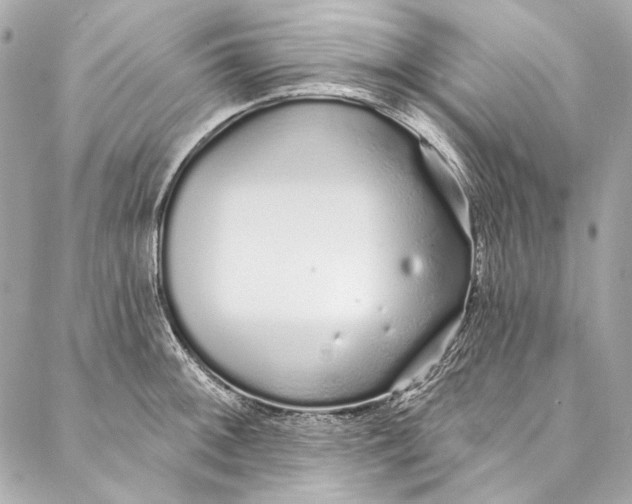 X0000086951092200705071437