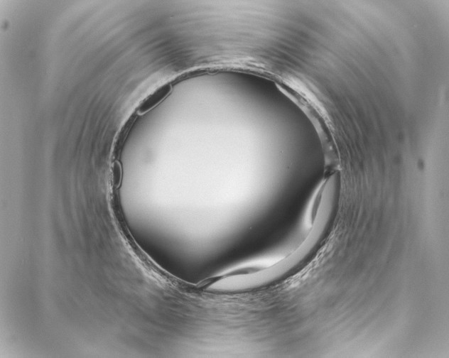 X0000086951093200705071437