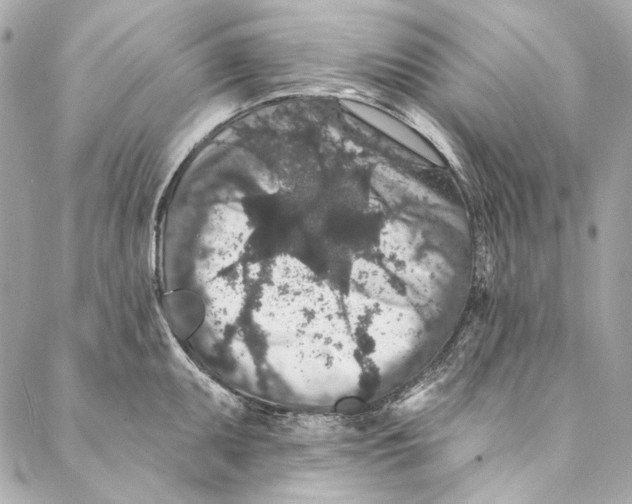 X0000086951095200705071437