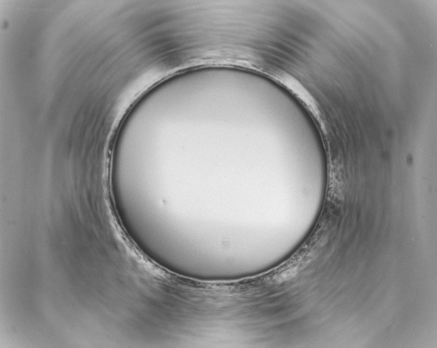 X0000086951096200705071437