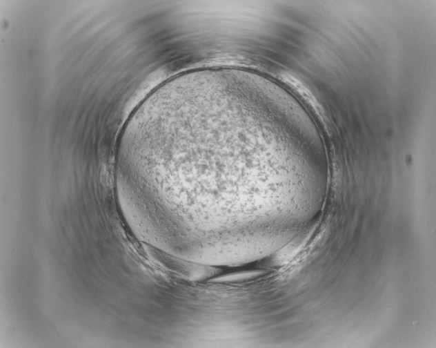 X0000086951097200705071437