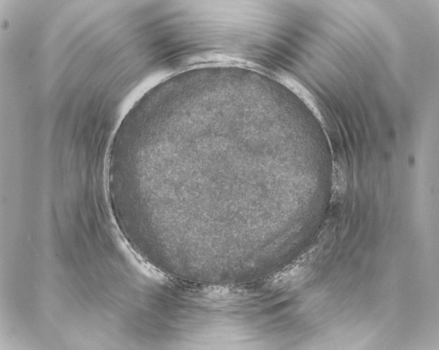 X0000086951098200705071437