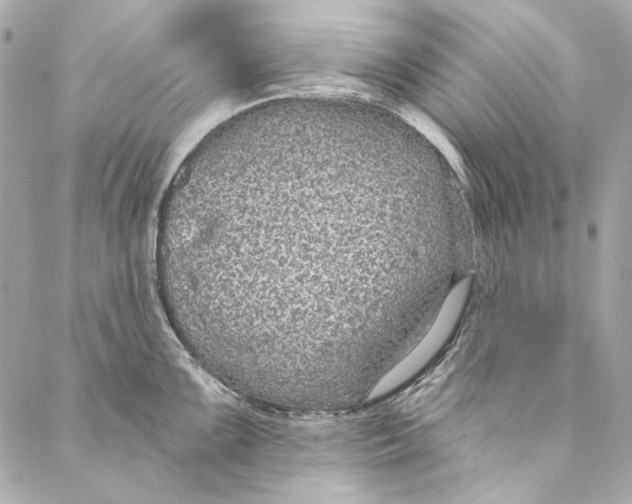 X0000086951099200705071437