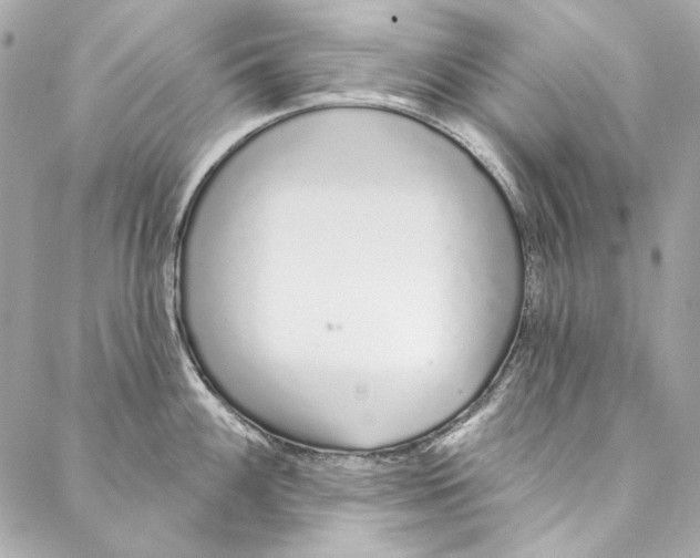 X0000086951100200705071437