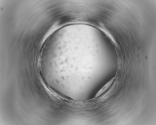 X0000086951101200705071437