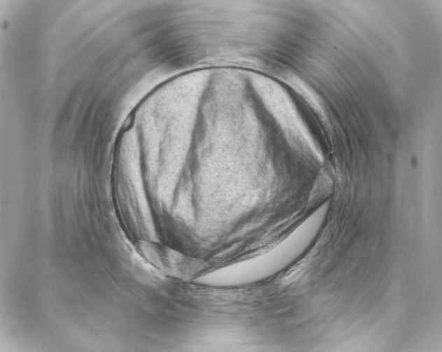 X0000086951102200705071437