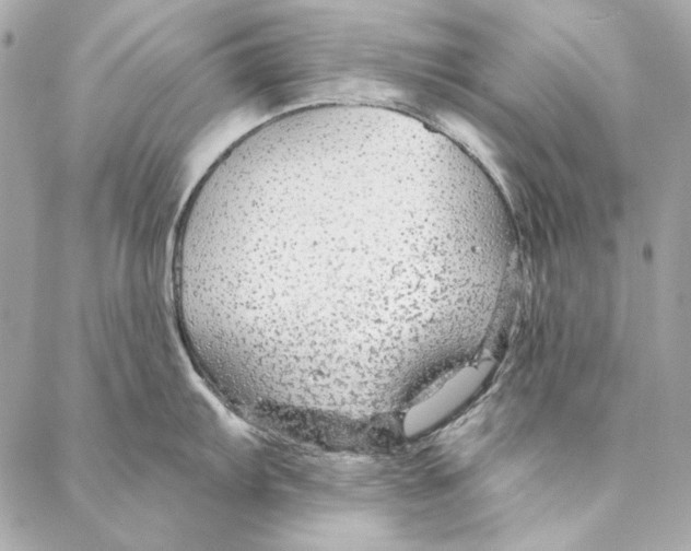 X0000086951103200705071437