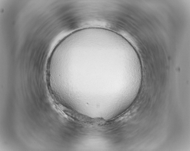 X0000086951104200705071437