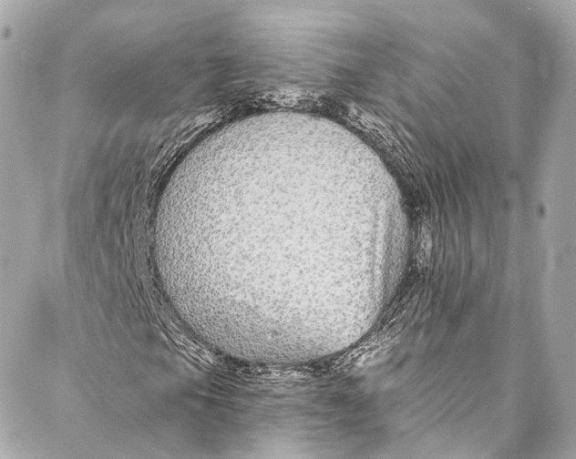 X0000086951105200705071436