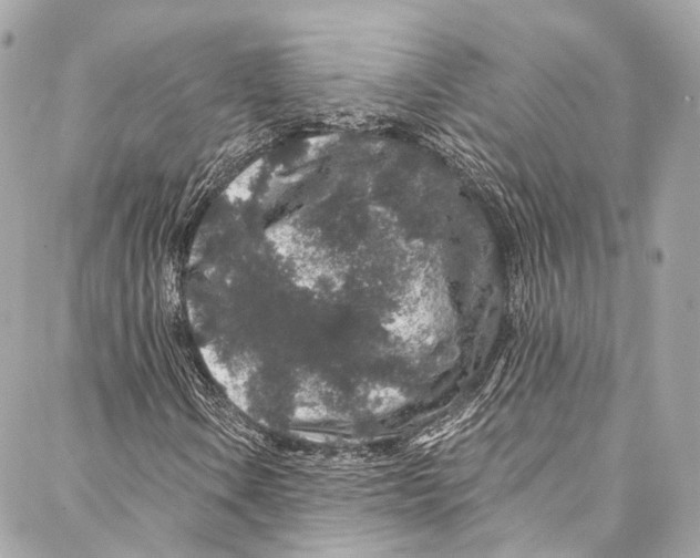 X0000086951106200705071436