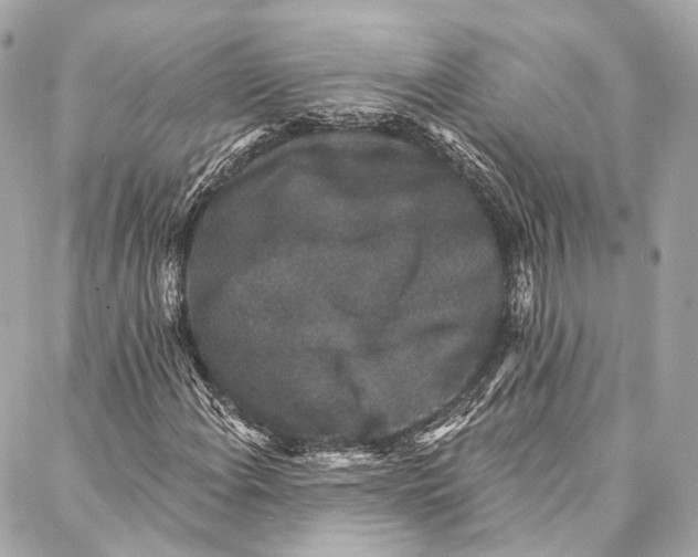 X0000086951108200705071436