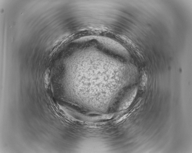 X0000086951110200705071436