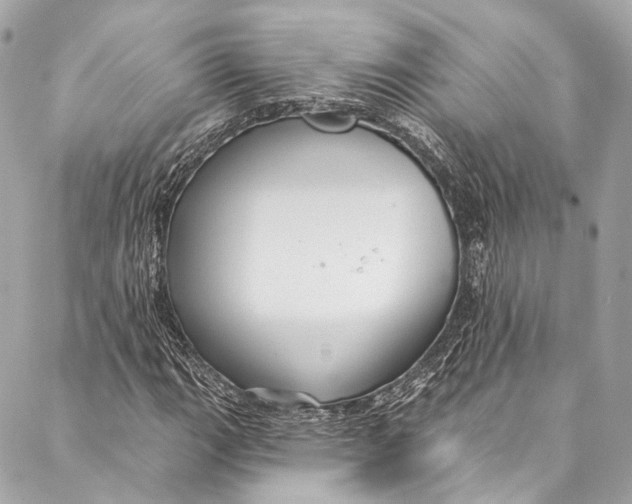 X0000086951111200705071436