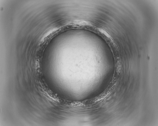 X0000086951112200705071436