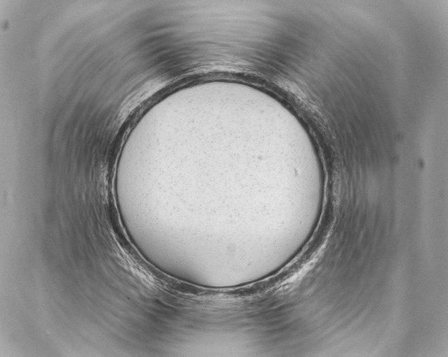 X0000086951113200705071436