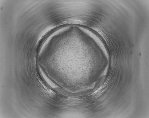 X0000086951115200705071436