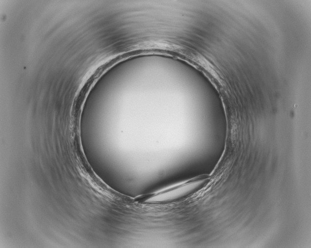 X0000086951116200705071436