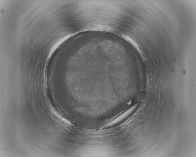 X0000086951120200705071436