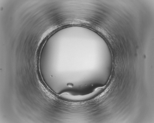 X0000086951122200705071436