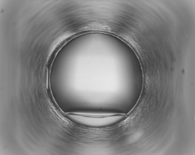 X0000086951123200705071436