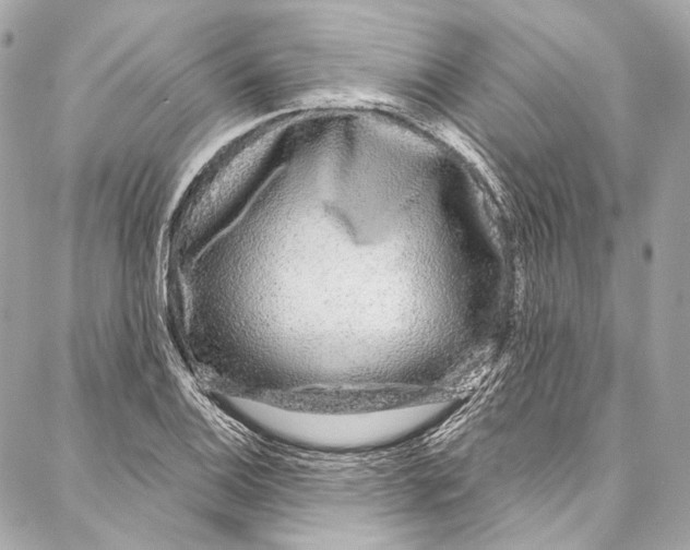 X0000086951124200705071436