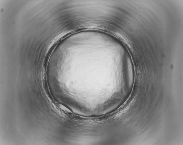 X0000086951125200705071436