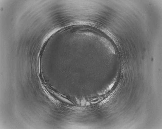 X0000086951127200705071436