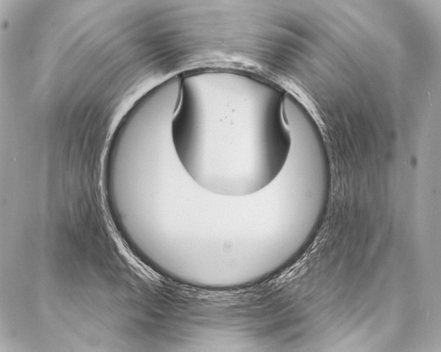 X0000086951128200705071436