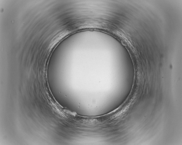 X0000086951129200705071436