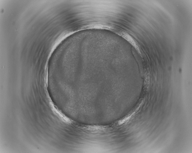 X0000086951132200705071436