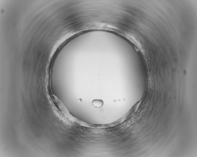 X0000086951136200705071436