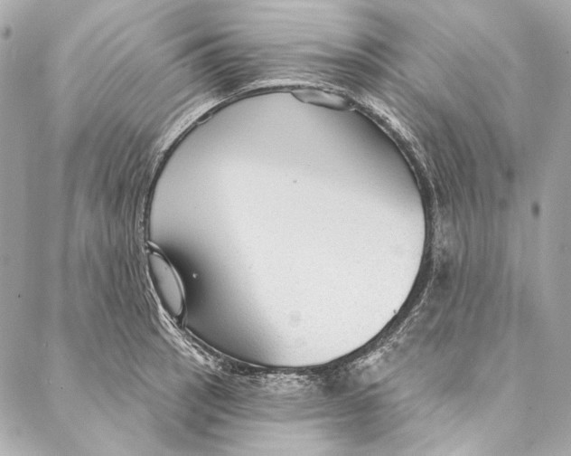 X0000086951137200705071436