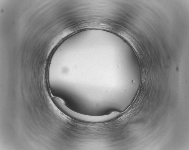 X0000086951139200705071436