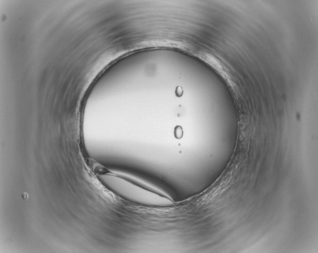 X0000086951140200705071436