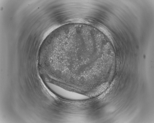 X0000086951141200705071436