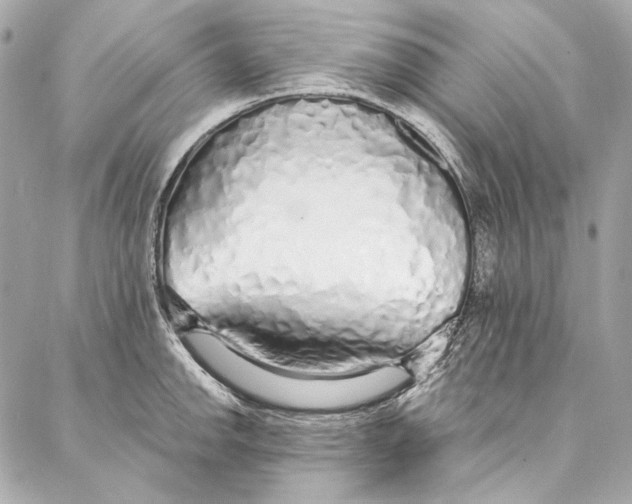 X0000086951142200705071436